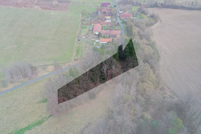 Prodej, Zahrada, Dolany