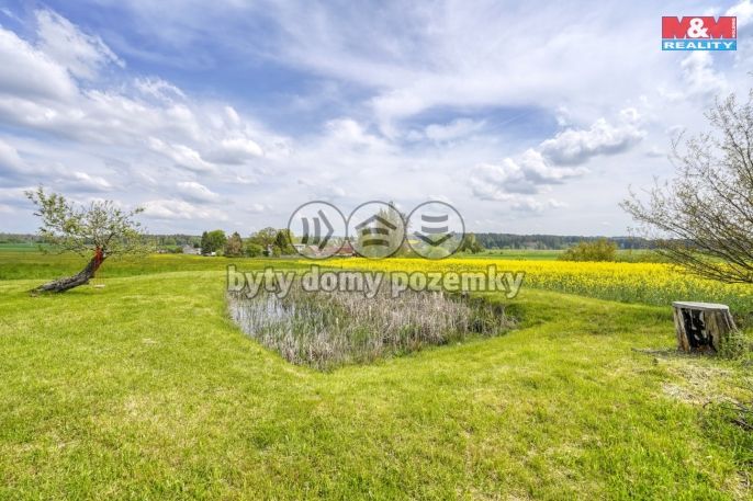 Prodej, Pole, Ostrov u Bezdružic