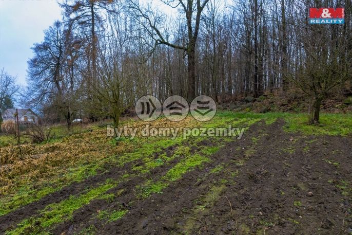 Prodej, Zahrada, Nový Oldřichov