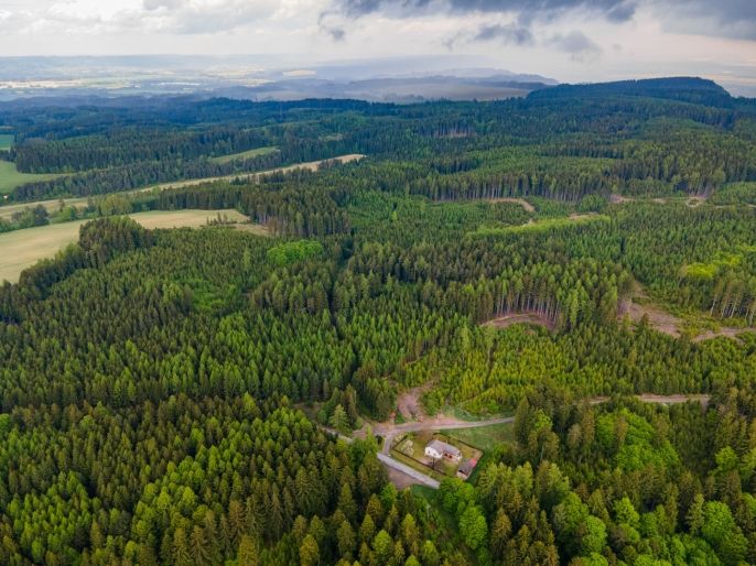 Prodej, Rodinný dům, Kunčina
