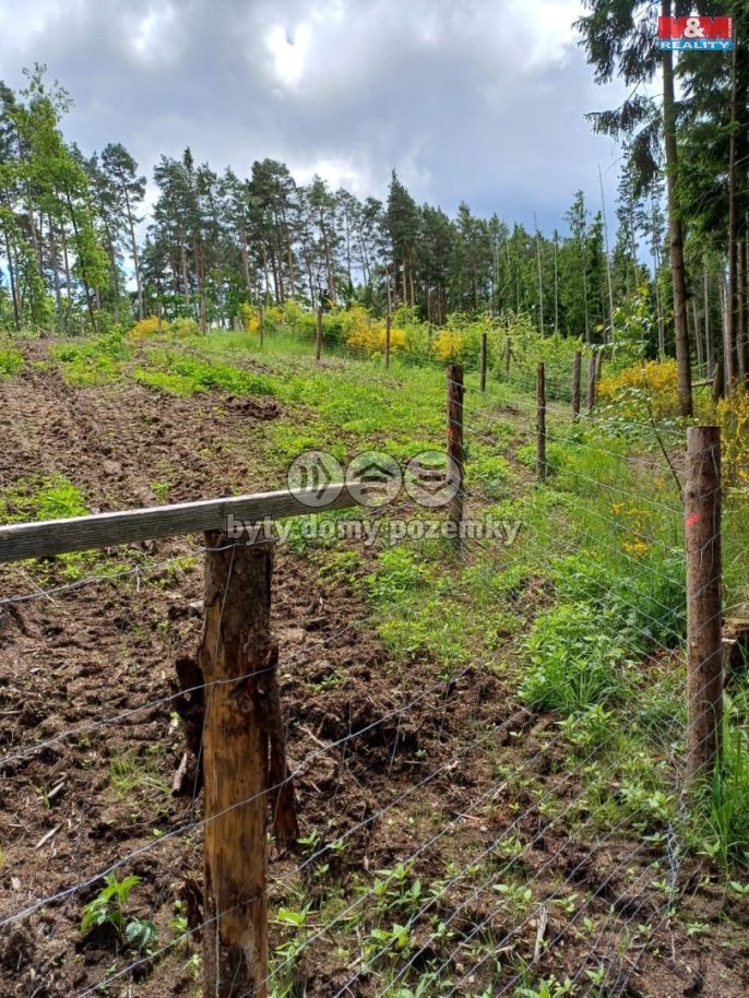 Prodej, Les, Hrazany