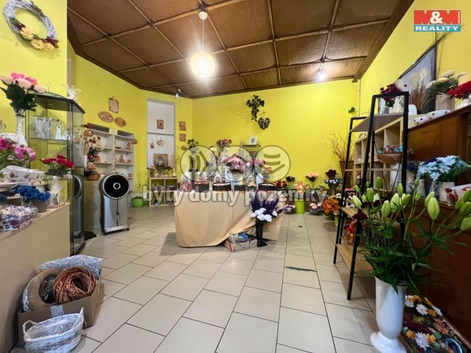 Pronájem, Obchod a služby, Bohumín