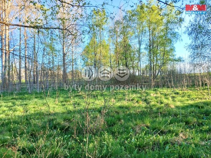 Prodej, Pozemek k bydlení, Stará Voda