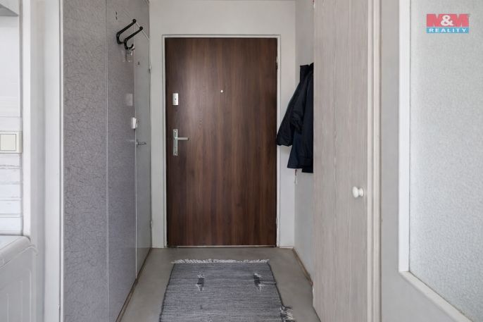 Pronájem, Byt 1+1, Luby