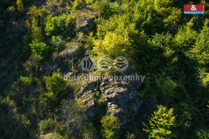 Prodej, Les, Lomnice