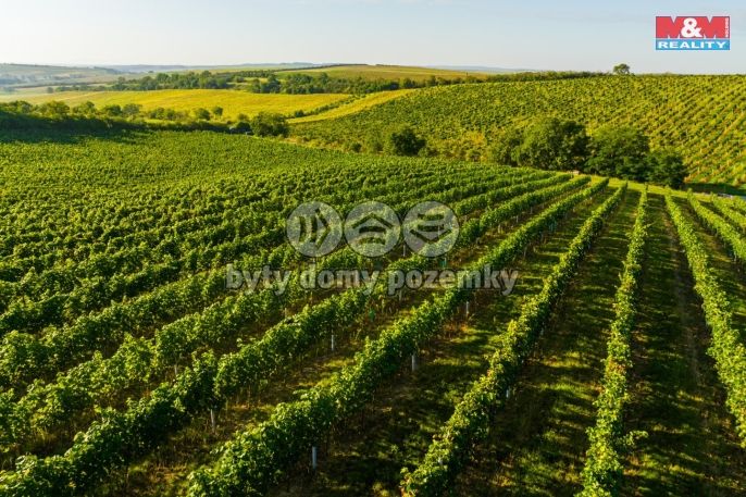 Prodej, Vinice, Šardice