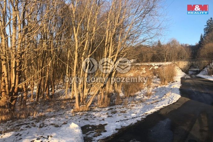 Prodej, Vodní plocha, 4656 m², Železná Ruda