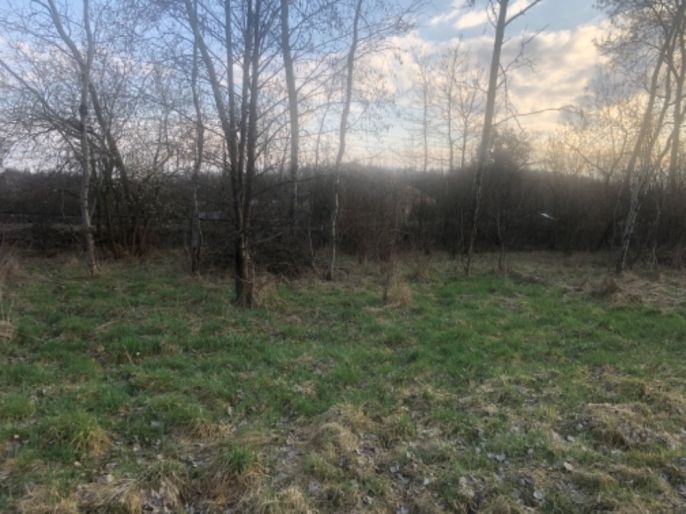 Prodej, Louka, Horní Suchá