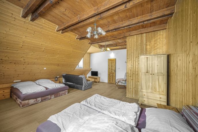 Prodej, Hotel, penzion, Králíky
