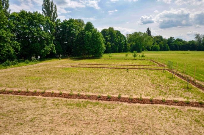 Prodej, Zahrada, Hradec Králové