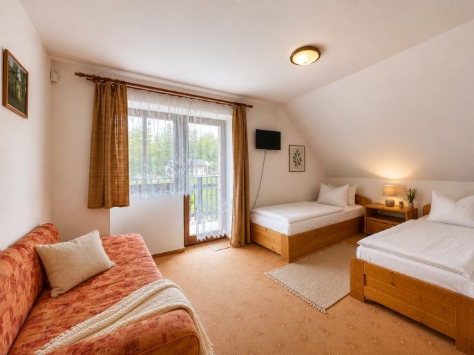 Prodej, Hotel, penzion, Nová Pec