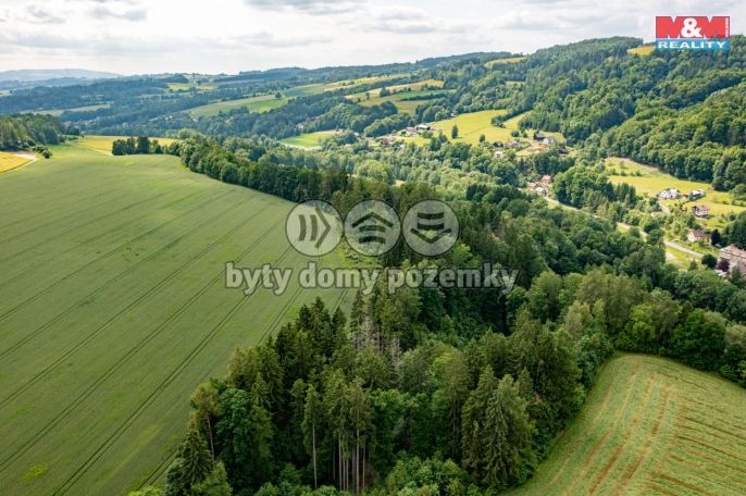 Prodej, Les, Peřimov