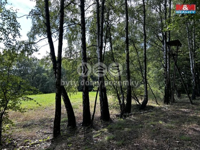 Prodej, Louka, Petrovice u Karviné