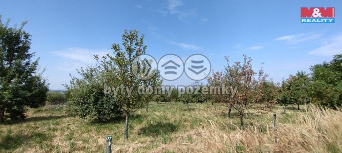 Prodej, Zahrada, Příbor