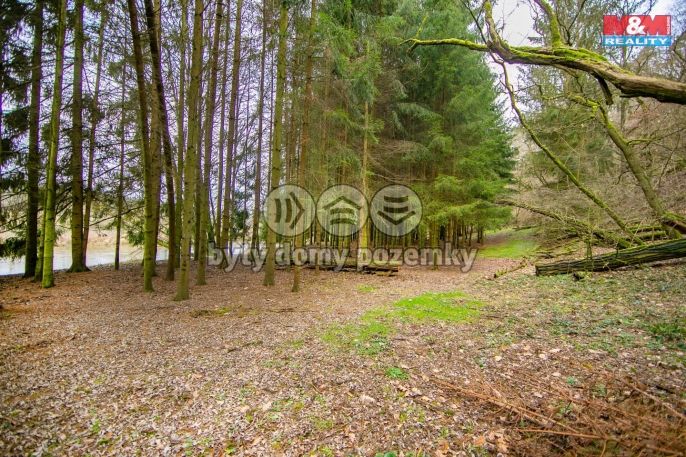 Prodej, Les, Zruč-Senec