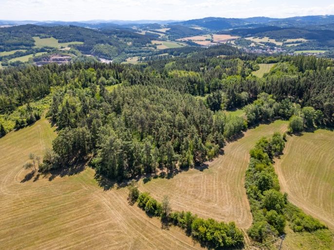 Prodej, Louka, Nišovice