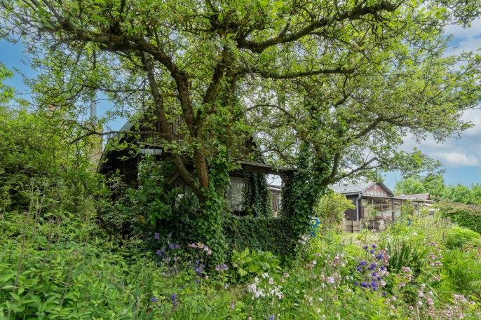 Prodej, Zahrada, Cheb