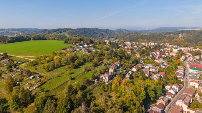 Prodej, Les, Úpice