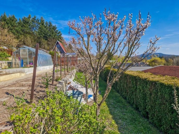 Prodej, Zahrada, Nový Bor