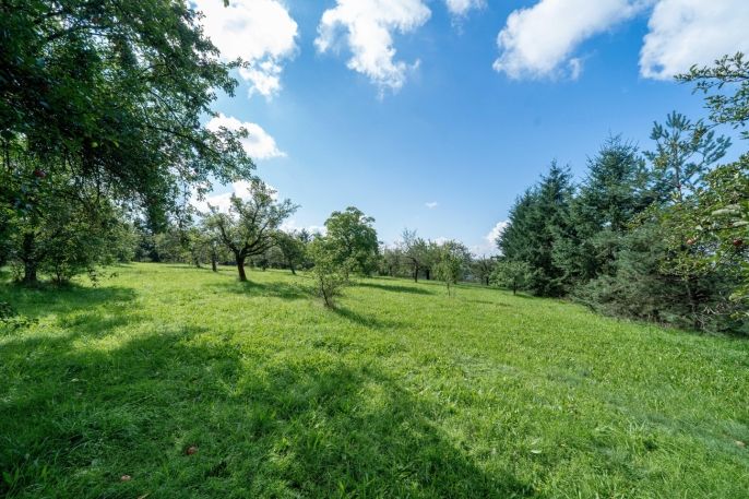 Prodej, Pozemek k bydlení, Letkov