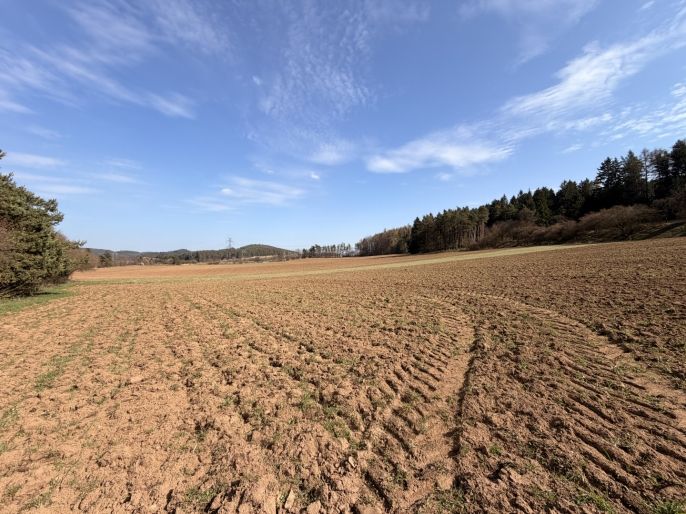 Prodej, Pole, Drevníky