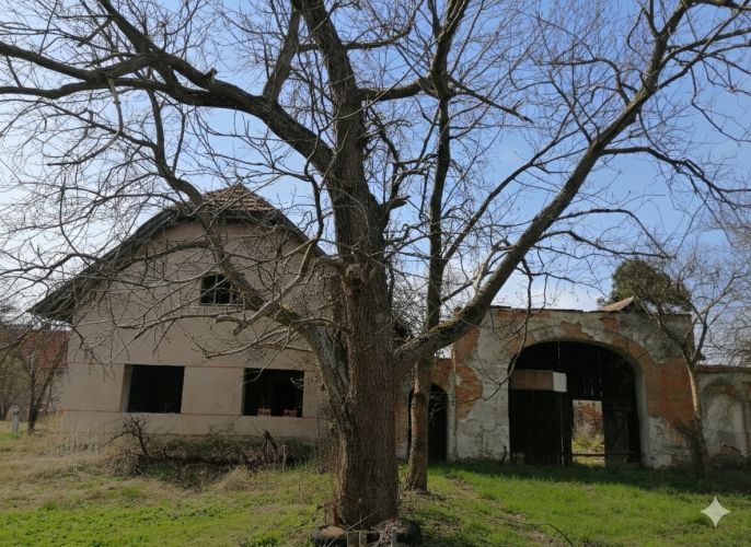 Prodej, Rodinný dům, Ostřetín