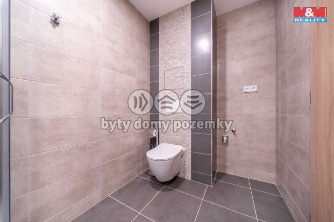 Pronájem, Byt 1+kk, Třemošná