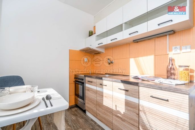 Pronájem, Byt 1+1, Rokytnice v Orlických horách