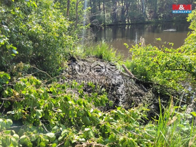 Prodej, Vodní plocha, Toužim