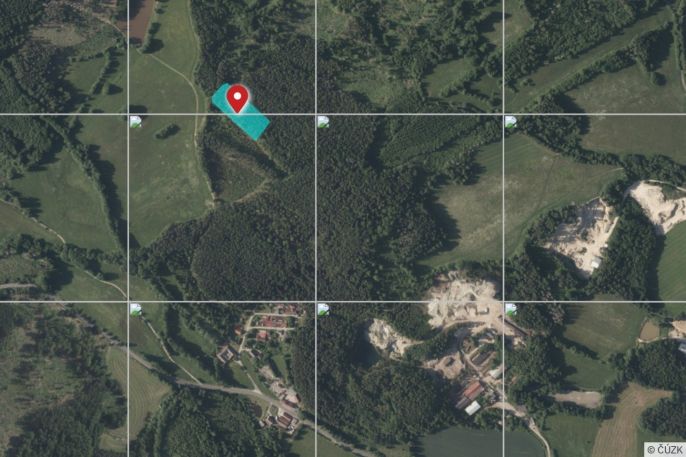 Prodej, Les, Mrákotín