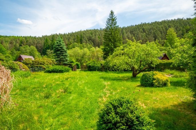 Prodej, Chata, Větřní