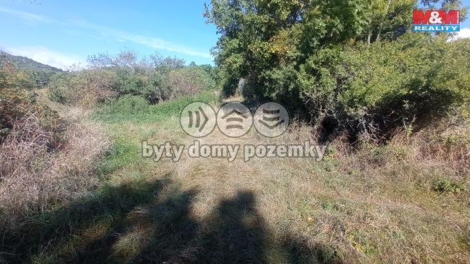 Prodej, Louka, Jenčice