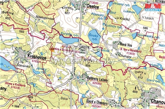 Prodej, Les, Chanovice