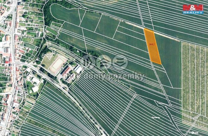 Prodej, Pole, Ježov