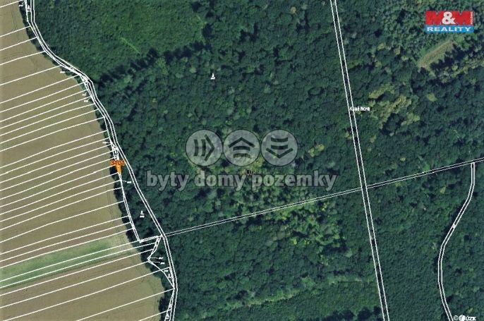 Prodej, Les, Zborovice