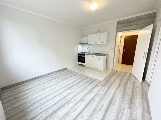 Pronájem, Byt 1+1, Sokolov