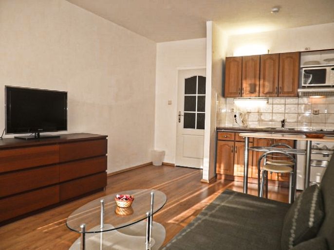 Pronájem, Byt 1+kk, Ostrava