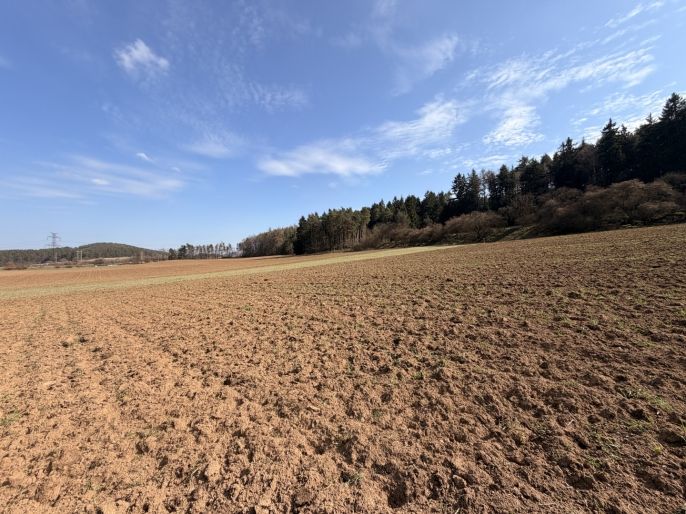 Prodej, Pole, Drevníky