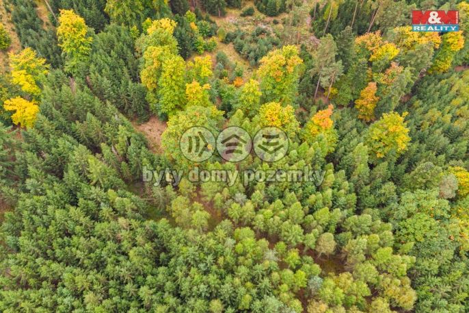 Prodej, Les, Černíkov