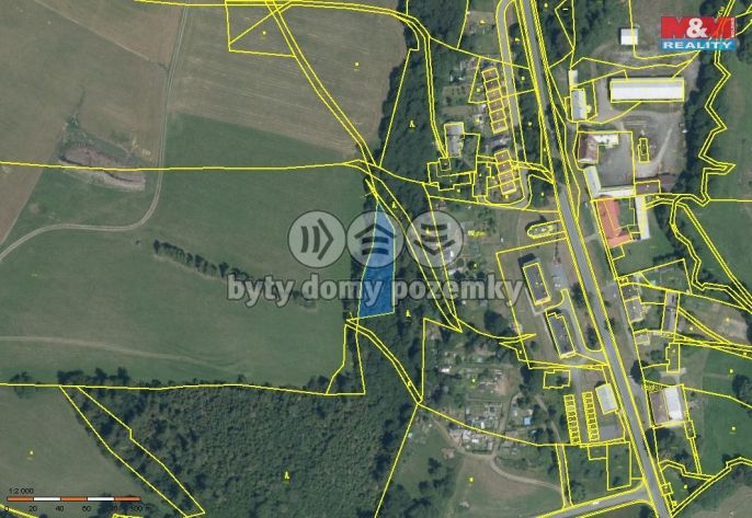 Prodej, Les, Břidličná