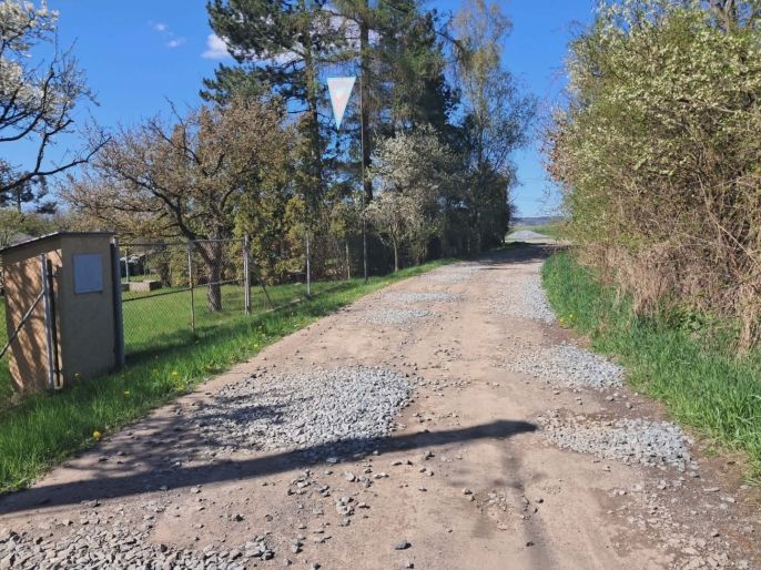 Pronájem, Zahrada, Přeštice