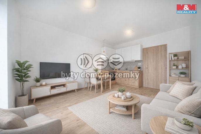 Prodej, Byt 1+kk, Třemošná