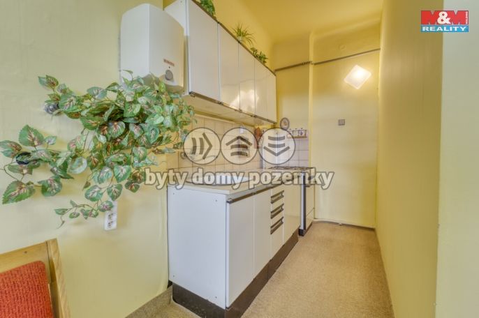 Prodej, Byt 1+1, Plzeň