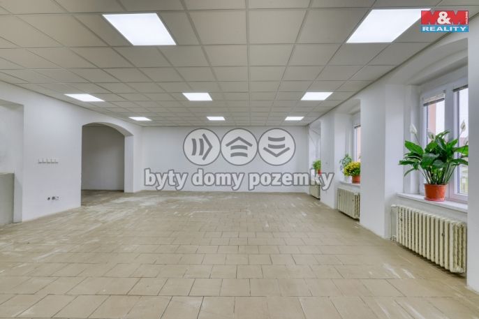 Pronájem, Obchod a služby, Přeštice