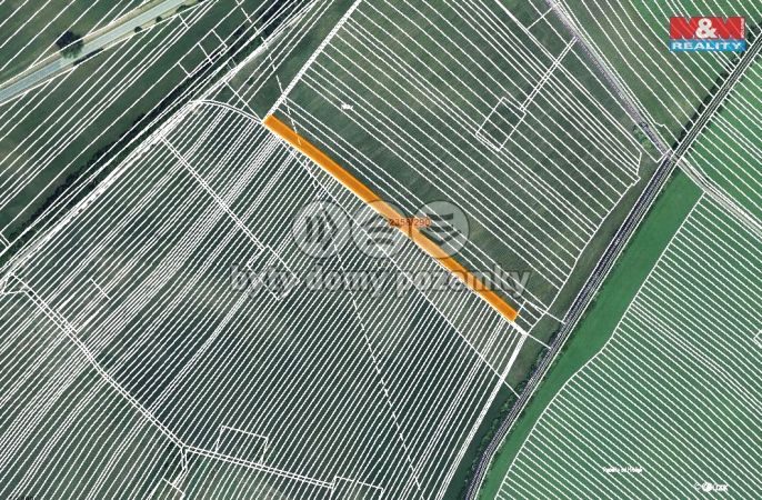 Prodej, Pole, Hrušky