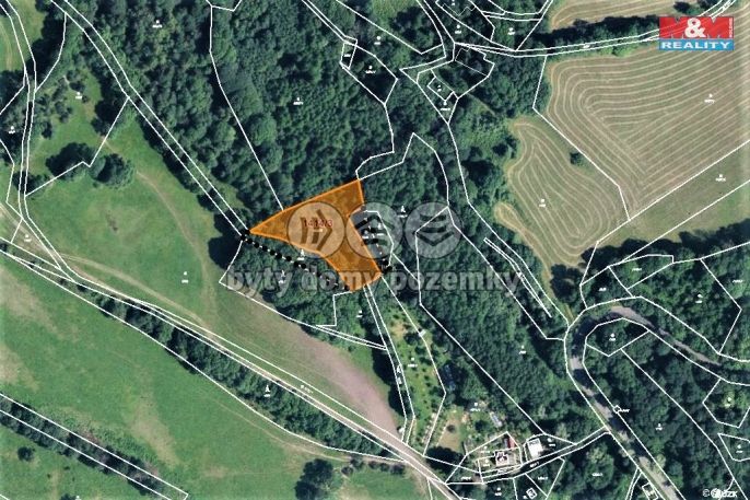 Prodej, Louka, Trutnov