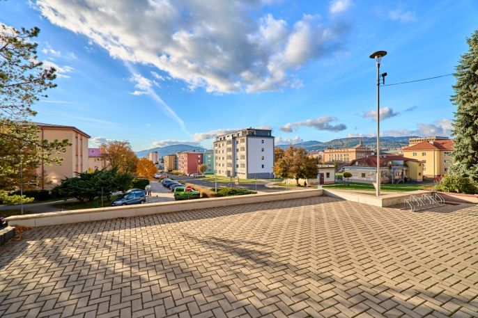 Pronájem, Obchodní objekt, Ostrov