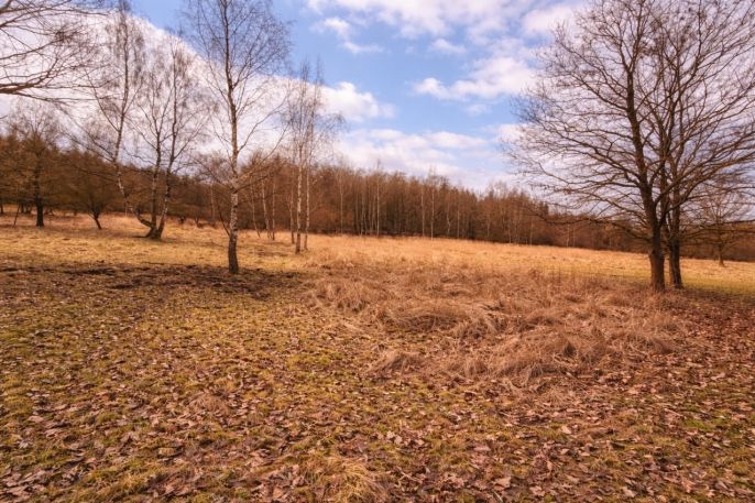 Prodej, Komerční pozemky, Křečovice