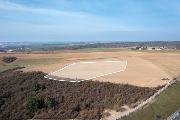 Prodej, Pole, Starý Plzenec