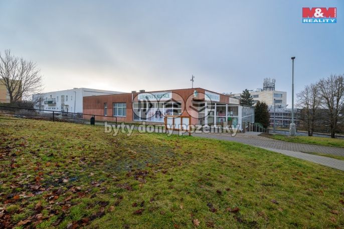 Pronájem, Ostatní, Ústí nad Labem